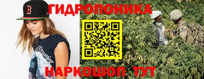 PSILOCYBIN Можга